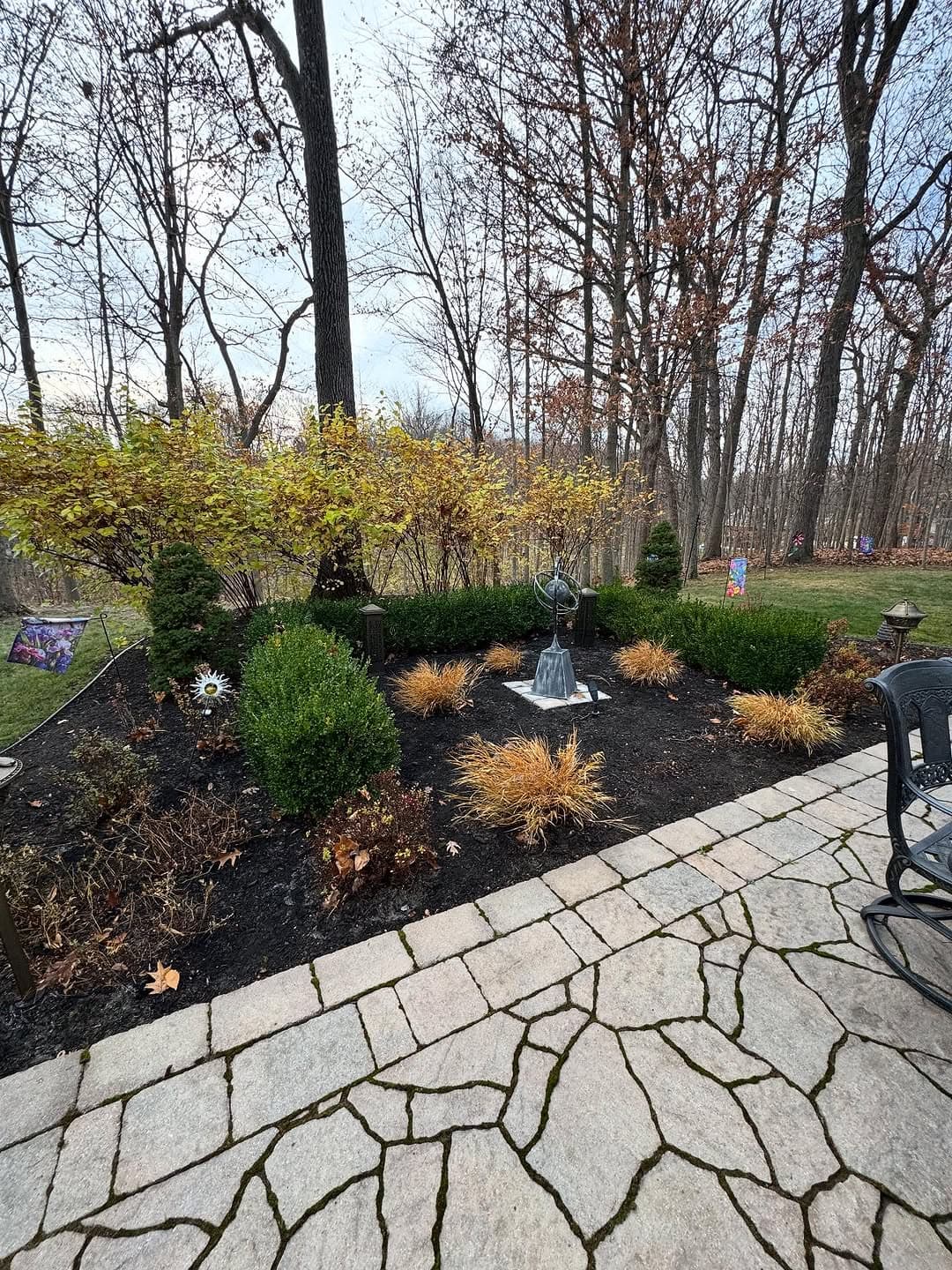 Backyard Cleanup - After